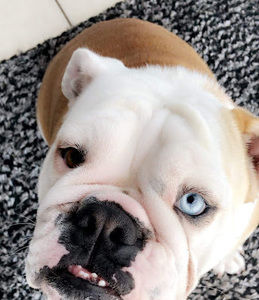 Meet your Posher, Stephanny